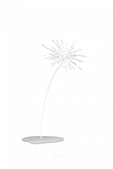 Graphische Darstellung des Dandelion 3D